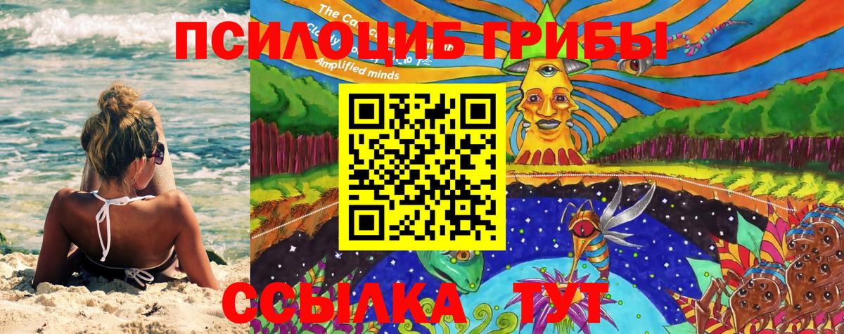 Орёл  Псилоцибиновые грибы ЛСД  Вход с VPN  Псилоцибиновые грибы Psilocybine cubensis 
